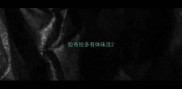 拉布拉多有体味没