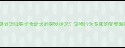 如何正确处理母狗护食幼犬的突发状况宠物行为专家的完整解决方案