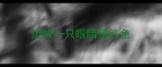边牧一只眼睛是红色