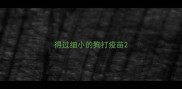 得过细小的狗打疫苗