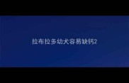 拉布拉多幼犬容易缺钙