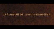 幼犬哈士奇换毛期全攻略3步搞定炸毛怪毛发顺滑不粘衣