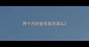 两个月的金毛能洗澡么