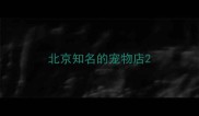 北京知名的宠物店
