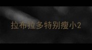 拉布拉多特别瘦小