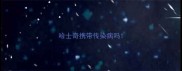 哈士奇携带传染病吗