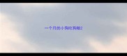 一个月的小狗吃狗粮