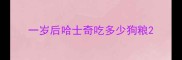 一岁后哈士奇吃多少狗粮