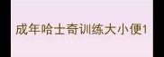 成年哈士奇训练大小便