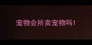 宠物会所卖宠物吗