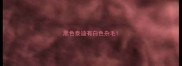 黑色泰迪有白色杂毛