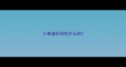 小泰迪补钙吃什么好