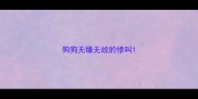 狗狗无缘无故的惨叫