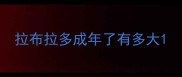 拉布拉多成年了有多大