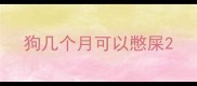 狗几个月可以憋屎