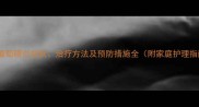 猫咪葡萄膜炎症状治疗方法及预防措施全附家庭护理指南