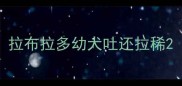 拉布拉多幼犬吐还拉稀