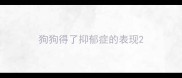 狗狗得了抑郁症的表现