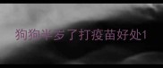 狗狗半岁了打疫苗好处