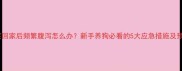 哈士奇买回家后频繁腹泻怎么办新手养狗必看的5大应急措施及预防指南