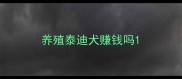 养殖泰迪犬赚钱吗