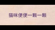 猫咪便便一颗一颗