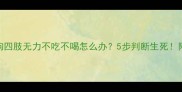紧急处理指南小狗四肢无力不吃不喝怎么办5步判断生死附家庭护理全攻略