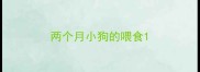 两个月小狗的喂食