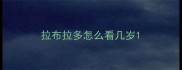 拉布拉多怎么看几岁