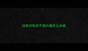 边牧对吃的不感兴趣怎么训练