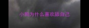 小狗为什么喜欢舔自己