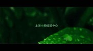 上海小狗收留中心