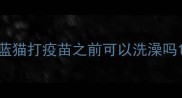 蓝猫打疫苗之前可以洗澡吗