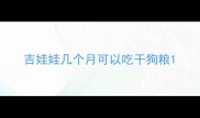吉娃娃几个月可以吃干狗粮