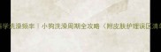 科学洗澡频率小狗洗澡周期全攻略附皮肤护理误区清单