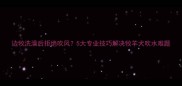 边牧洗澡后拒绝吹风5大专业技巧解决牧羊犬吹水难题