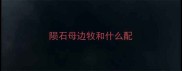 陨石母边牧和什么配