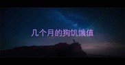 几个月的狗饥饿值