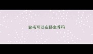 金毛可以在卧室养吗