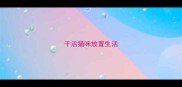 干活猫咪放置生活