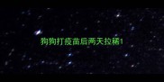 狗狗打疫苗后两天拉稀