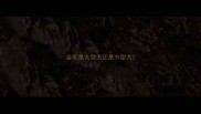 金毛是大型犬还是中型犬