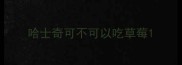 哈士奇可不可以吃草莓