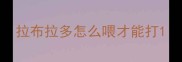 拉布拉多怎么喂才能打