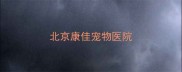 北京康佳宠物医院