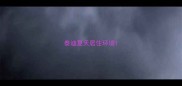 泰迪夏天居住环境