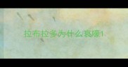 拉布拉多为什么哀嚎