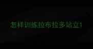怎样训练拉布拉多站立