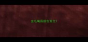 金毛嘴唇颜色变红