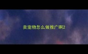 卖宠物怎么做推广啊